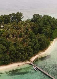 Rehabilitasi Hutan — pemulihan lanskap hutan Indonesia