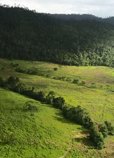 Program Perhutanan Sosial — masyarakat dan hutan sejahtera