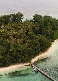 Rehabilitasi Hutan — pemulihan lanskap hutan Indonesia