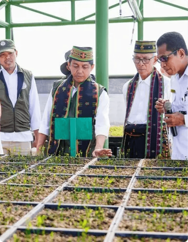 Menteri Kehutanan meninjau bibit tanaman di persemaian permanen Labuan Bajo