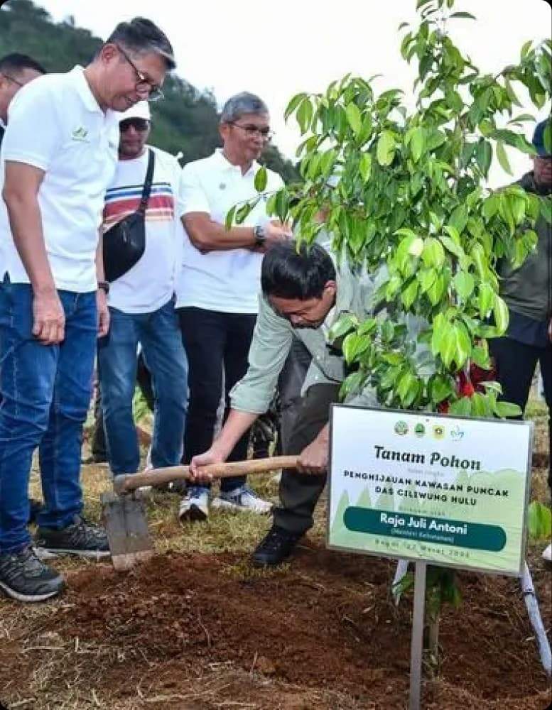 Penanaman pohon di Puncak Bogor oleh Kementerian Kehutanan dan mitra