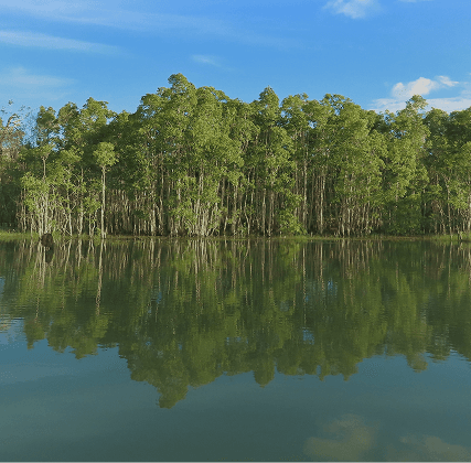 Luas Kawasan Hutan Daratan dan Perairan